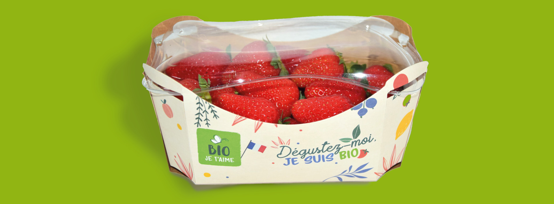 Barquette de fraises BIO